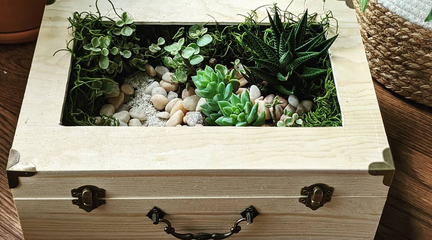 Make a Succulent Terrarium