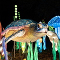 169-DSC04727