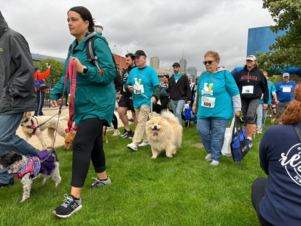 Mutt Strut