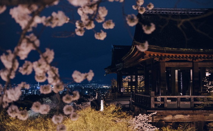 Spring Illuminations