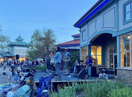 Tunes and Blooms .