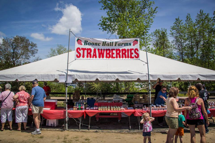 Lowcountry Strawberry Festival