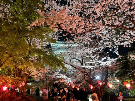 21st Kokura Castle Cherry Blossom Festival