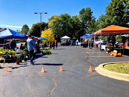 Summer Market