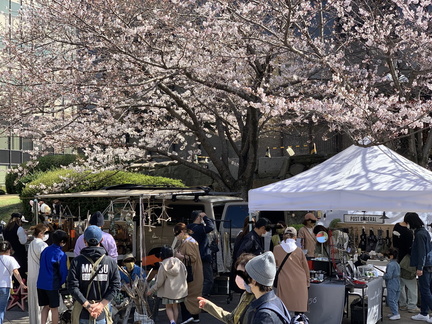 Kokura Castle Marche 2025
