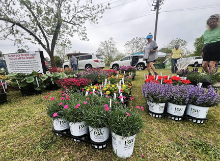Annual Plant Sale