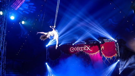 Circus Cortex | The Edge