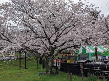 Itozu Spring Zoo - Search for spring! Flower tour -