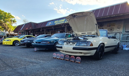 Mustangs in Myrtle