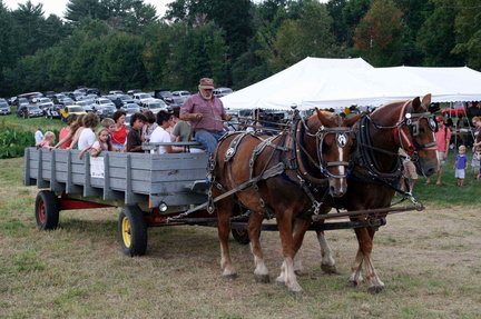 Belknap County 4-H Fair