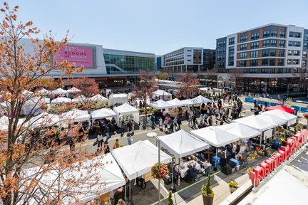 Mosaic Art Blooms Festival