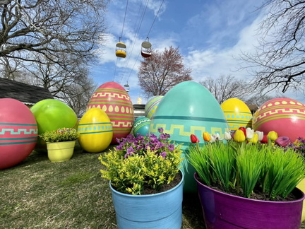 Eggcellent Celebration