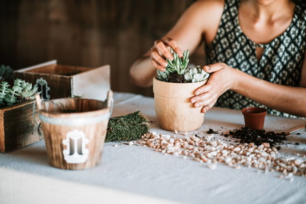 Pop-Up Plant Bar