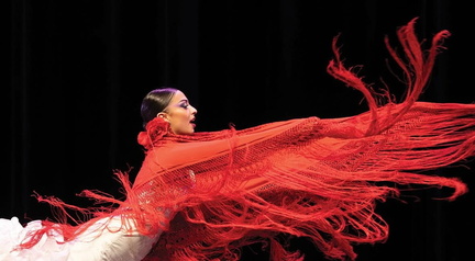 Flamenco Latino