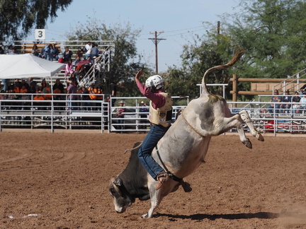 Bulls, Bikes, &amp; Bands