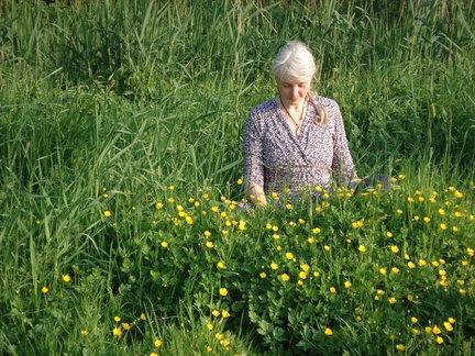 Herbal Walk