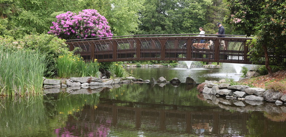 Wright-Park-bridge-1460x700