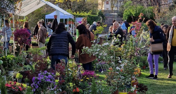 Flower Show