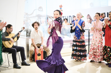 F For Flamenco Festival Toronto