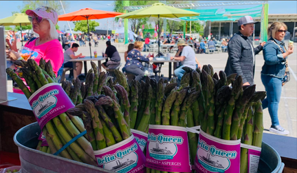 2025 San Joaquin Asparagus Festival
