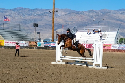 The Blossom Trail Spring Fling Mule &amp; Donkey Show