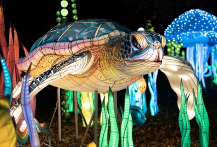 SeaLight Festival