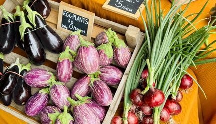 Farm Gate Market