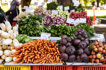 Salamanca Market