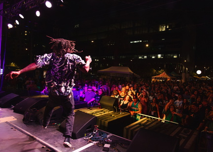Budsapalooza-Shwayze+jump+crowd