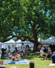 The Olive Tree Market