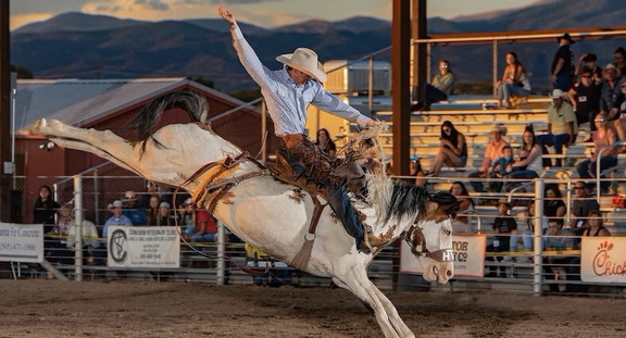 Sydney Rodeo