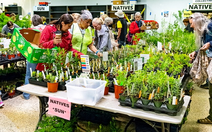 Spring Plant Sale