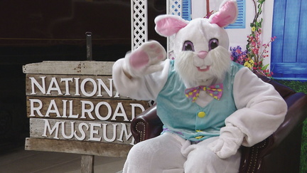 The Great Bunny Train