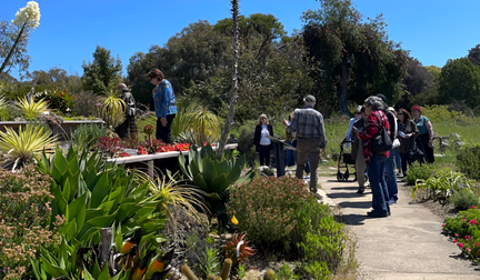 Spring Garden Tour