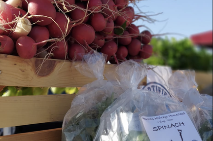 Irving Farmers Market
