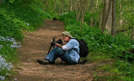 Spring Wildflower Walk