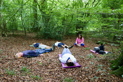 forest bathing