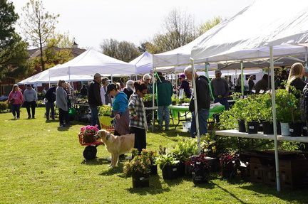 70th Annual SpringFest