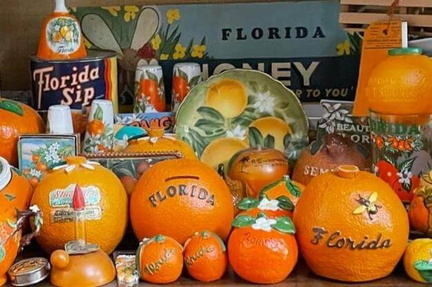 Florida-oranges-signature-photo