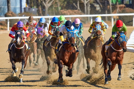 horse race-unsplash (1)