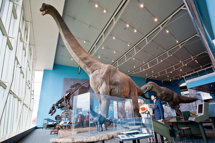 dino-day-1024x683