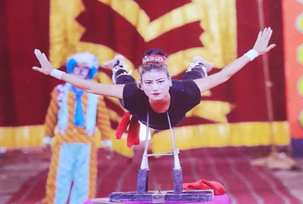 Gemini Circus