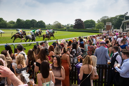 Beer Festival Raceday