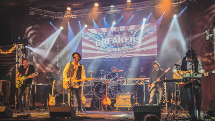 The Breakers - Tom Petty Tribute