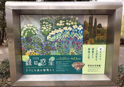 Plants in the Museum Forest
