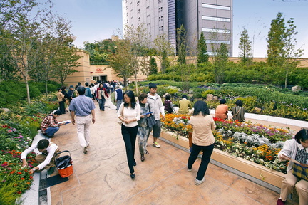 np_file_76753