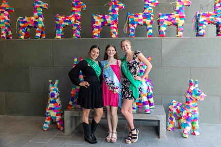 Viva Fiesta at Second Thursday - McNay Art Museum.v1
