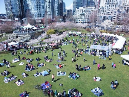 Vancouver Cherry Blossom Festival