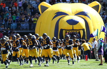 Cal Bears Football