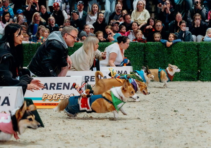 PetFest - Spruce Meadows